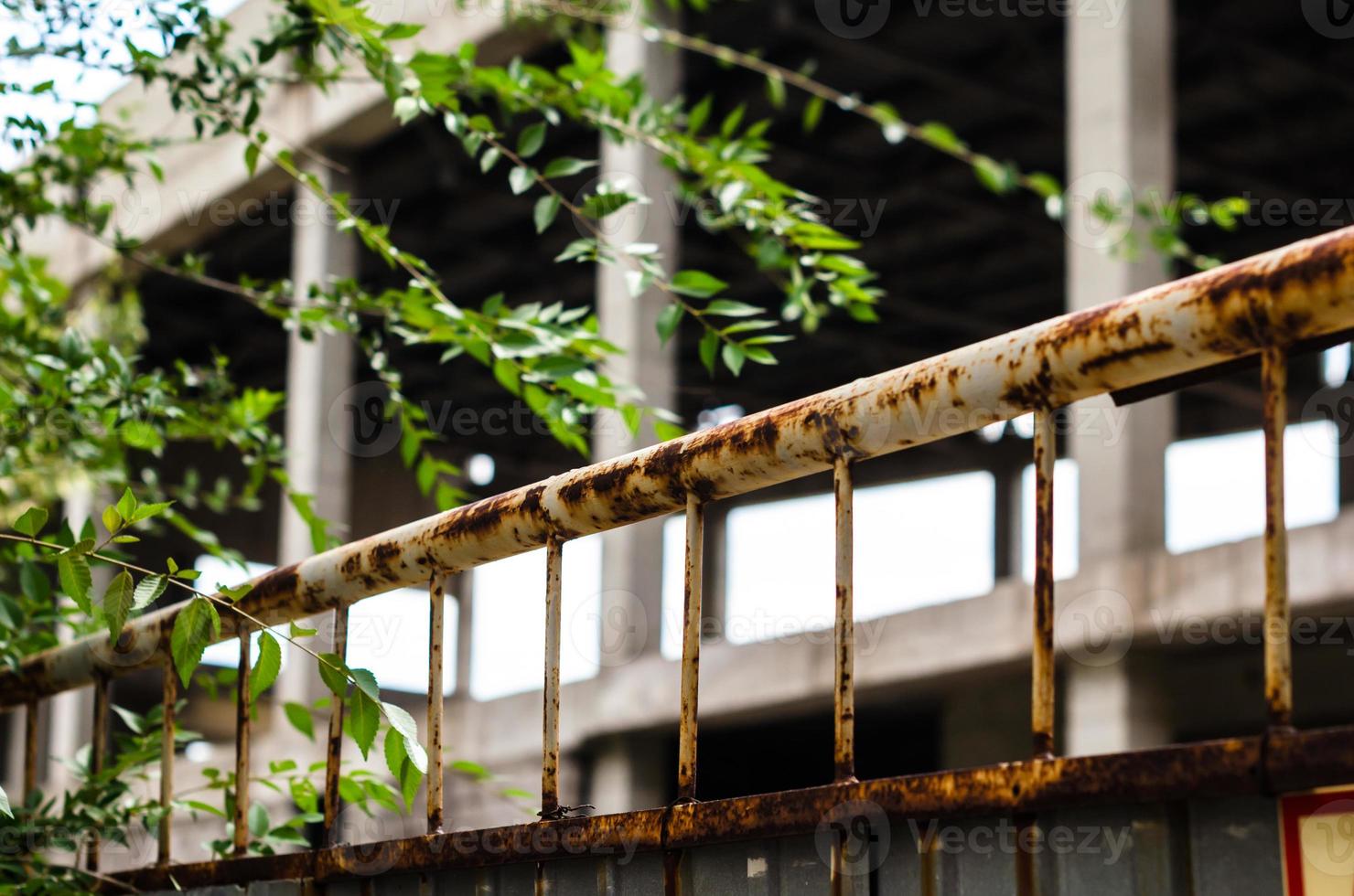 clôture rouillée avec des feuilles vertes photo