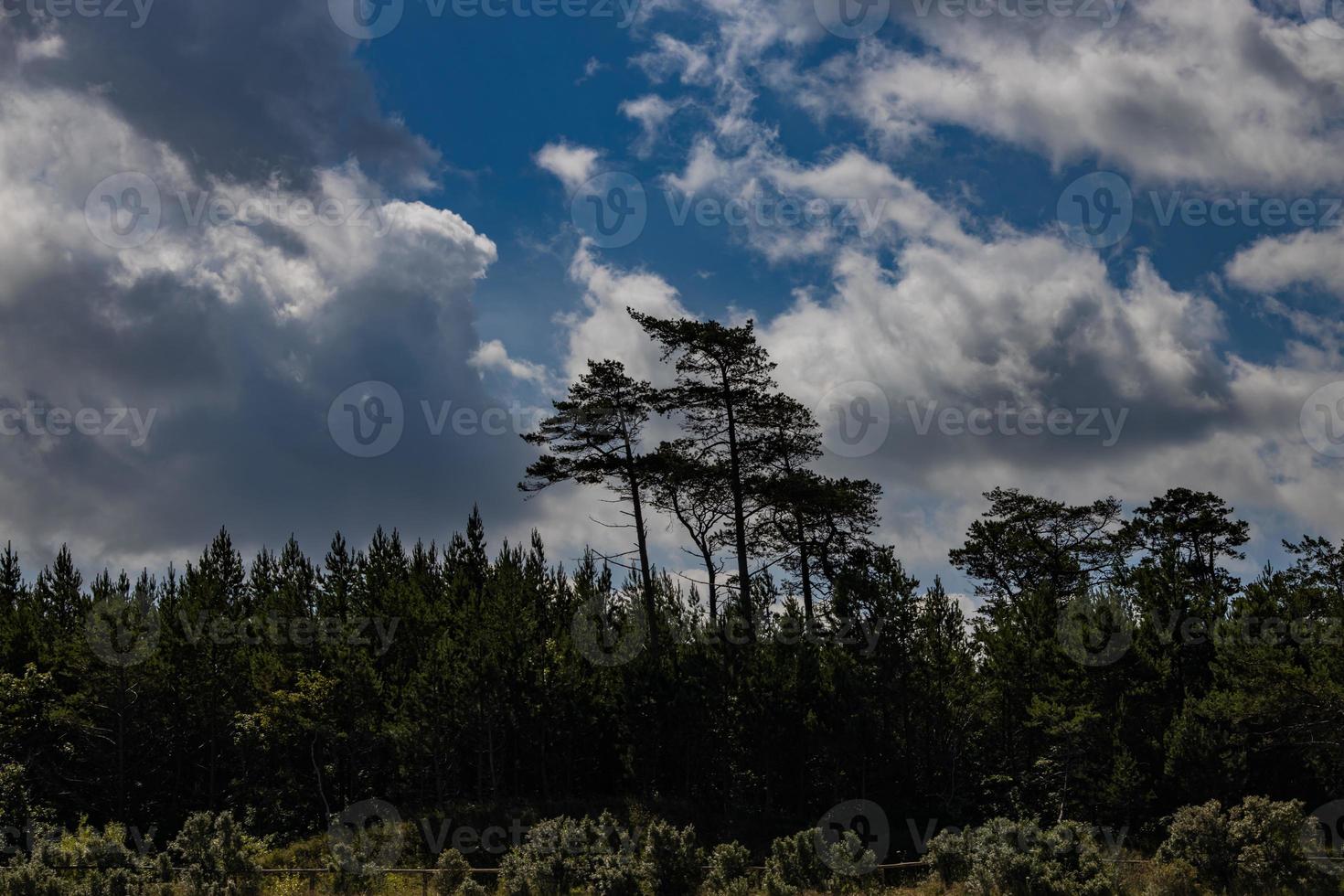 ciel avec gris des nuages contre le toile de fond de vert des arbres sur une chaud été journée photo