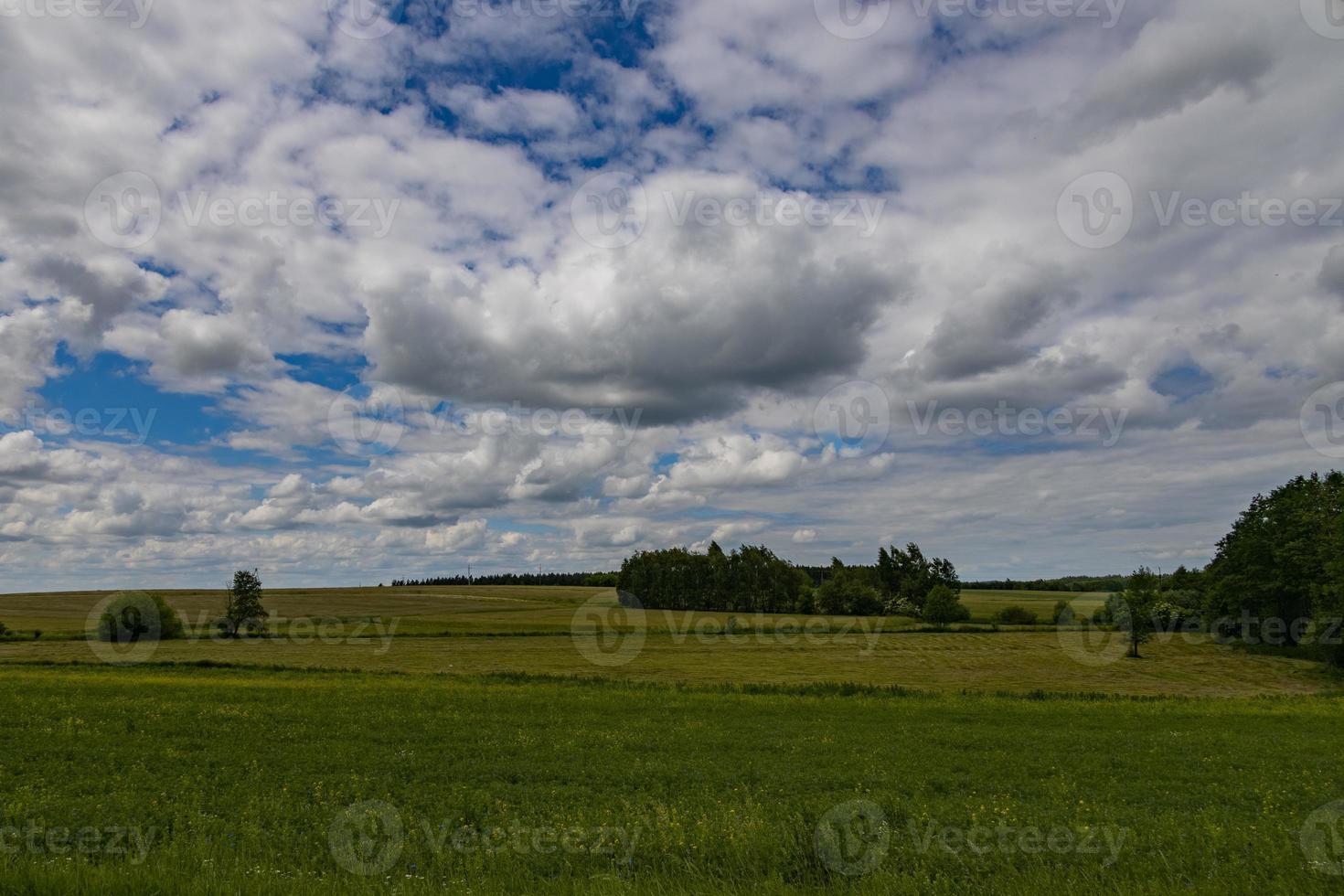 agricole paysage dans Pologne sur une été journée photo