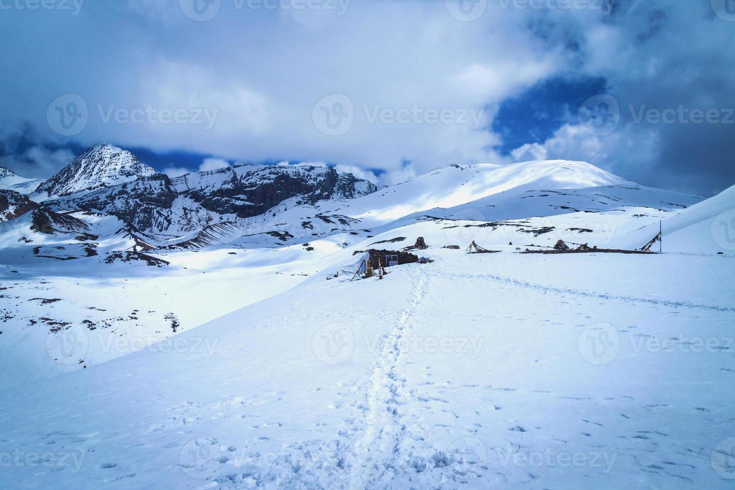 une petit chemin cette pistes à thé magasin photo