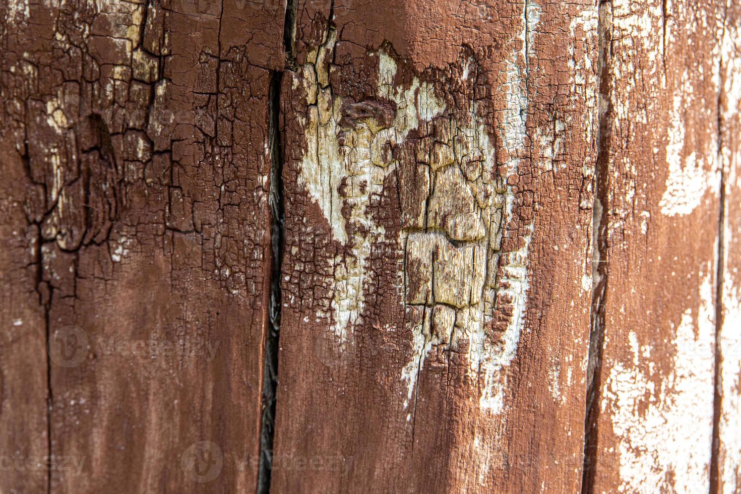 intéressant original Naturel Contexte de un vieux brunâtre arbre tronc dans fermer photo