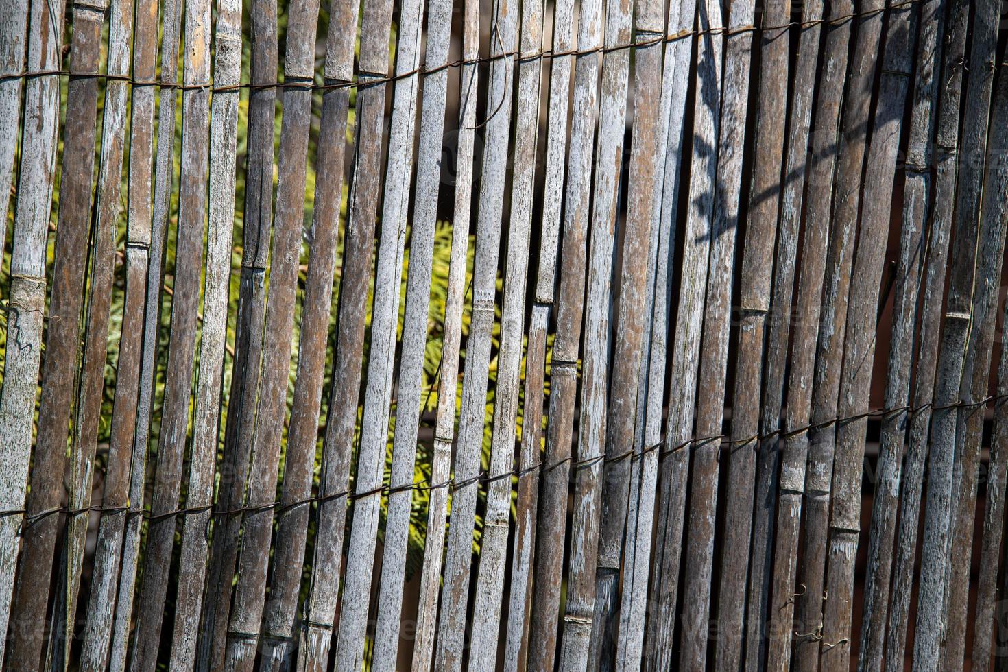 Contexte avec mince marron gris en bois planches photo