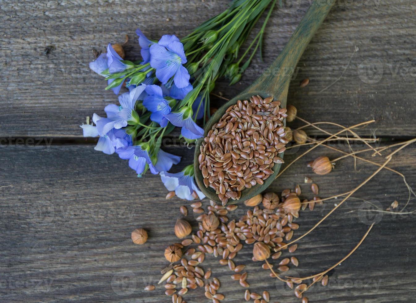 composition de lin fleurs et telleara avec des graines photo