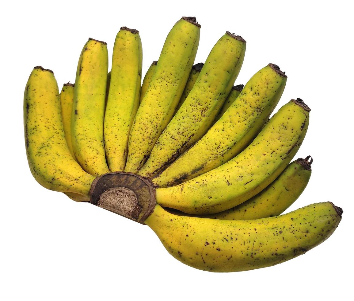 bouquet de de pisang ambon, local banane variété de Indonésie, isolé dans blanc Contexte photo