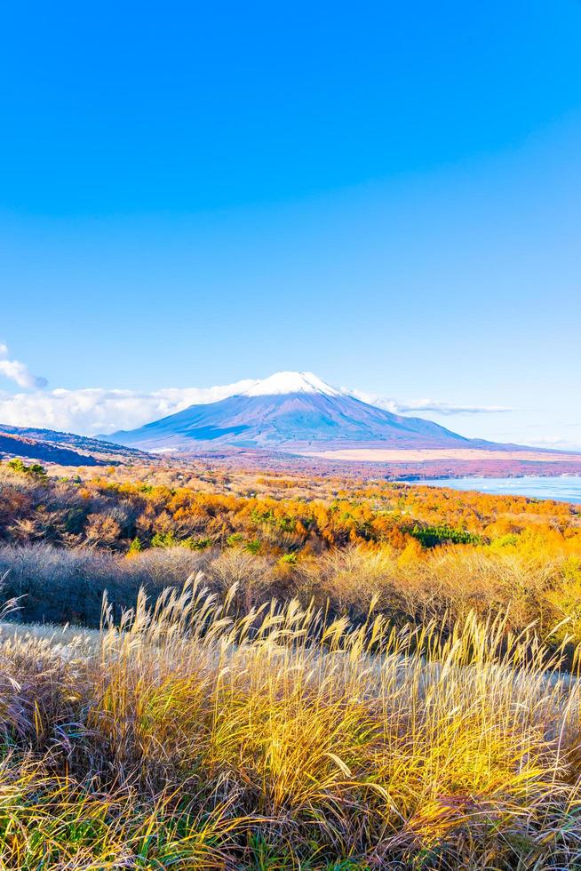 beau mt. Fuji au lac Yamanaka, Japon photo