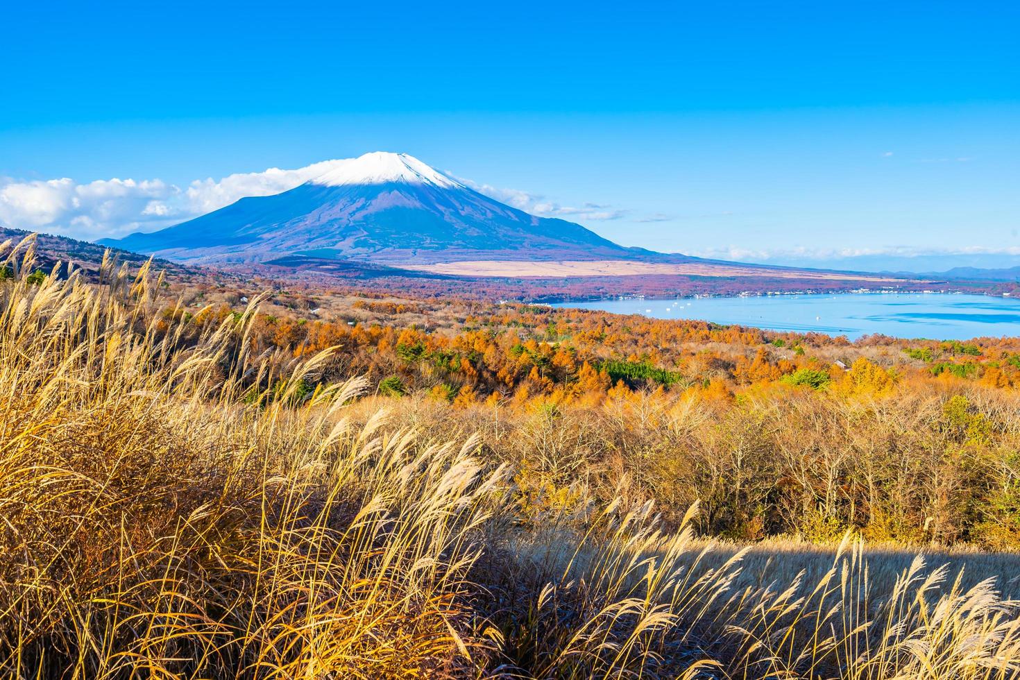 beau mt. Fuji au lac Yamanaka, Japon photo