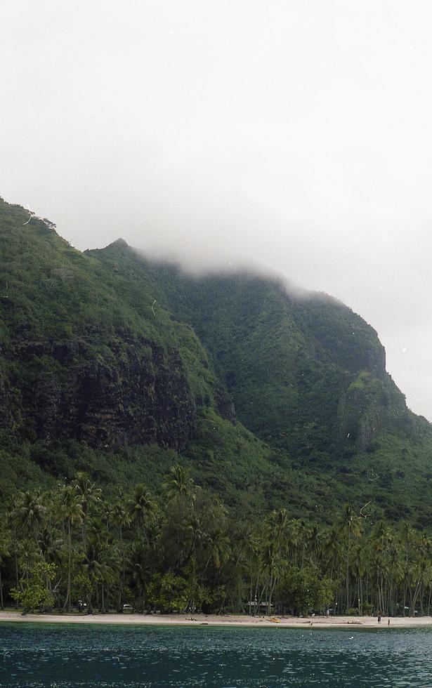 de moorea Naturel beauté photo