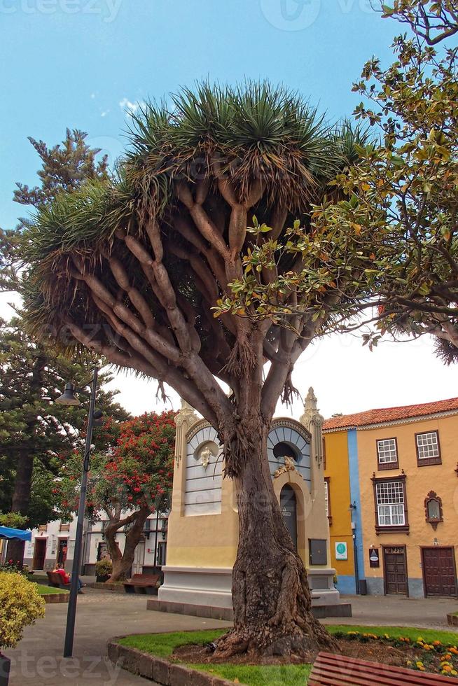 des rues avec historique bâtiments sur le Espagnol canari île Tenerife dans le ancien Capitale photo