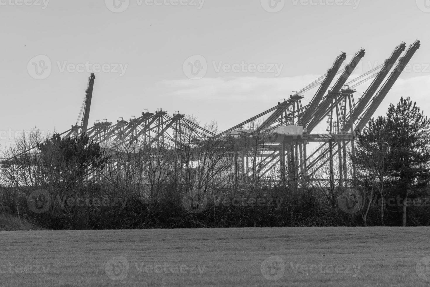felixstowe Dock grues dans noir et blanc photo
