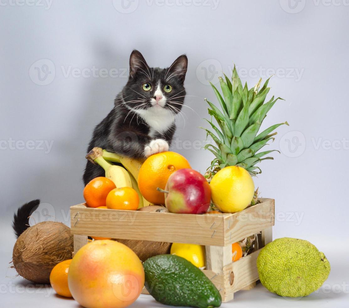 noir et blanc avec une boîte de fruits photo