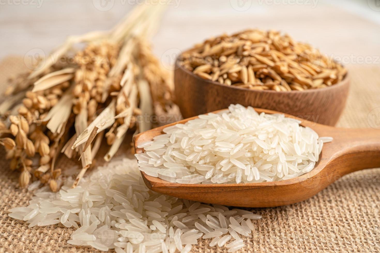 jasmin blanc riz avec or grain de agriculture cultiver. photo