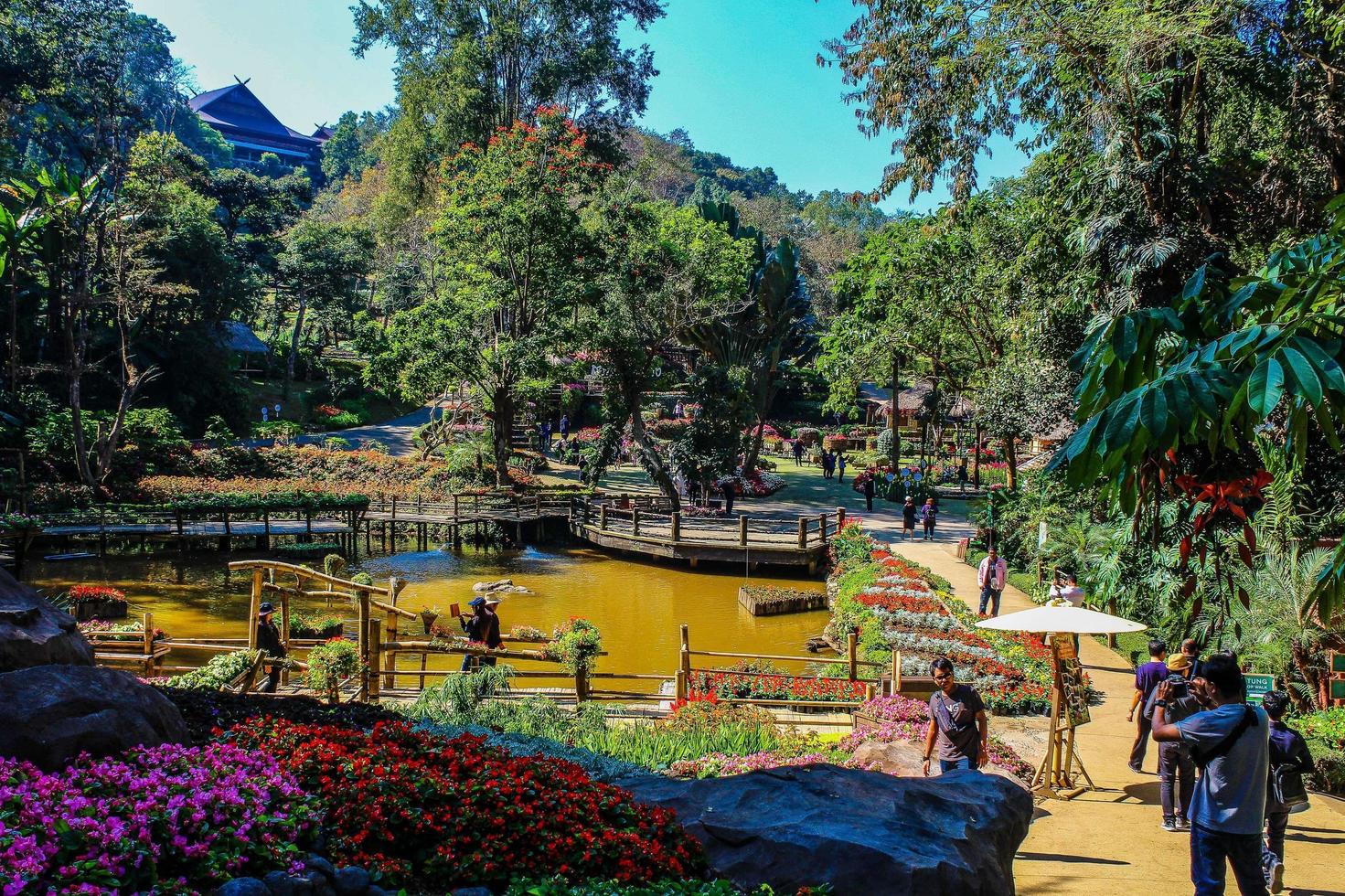 Chiang Rai, Thaïlande 2017- jardins doi tung photo