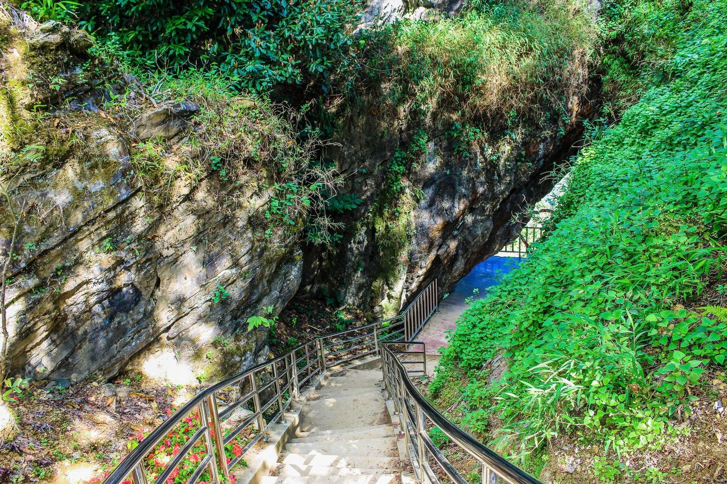 sentier de randonnée doi pha tang en thaïlande photo