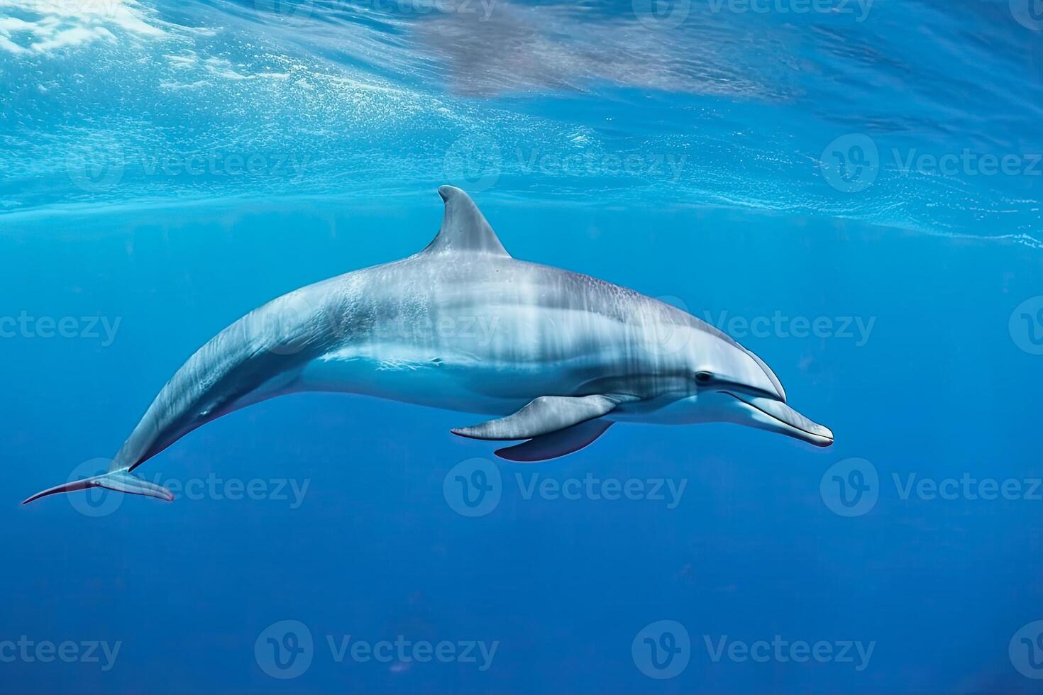 génératif ai illustration de une goulot d'étranglement dauphin photo