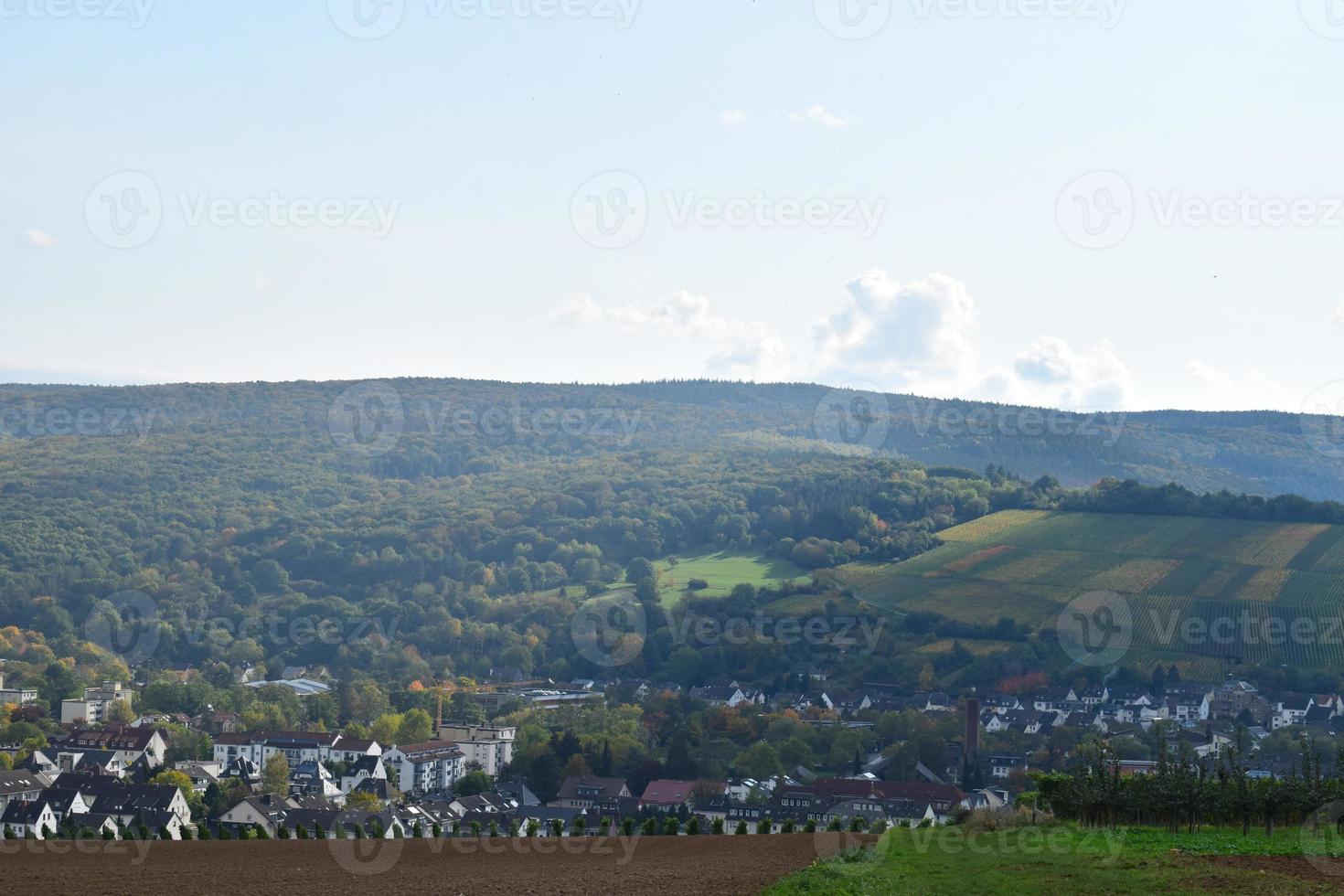 coloré vignobles dans inférieur ah vallée photo