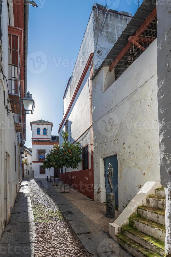 Cordoue des rues et blanc peint Maisons avec original architecture photo