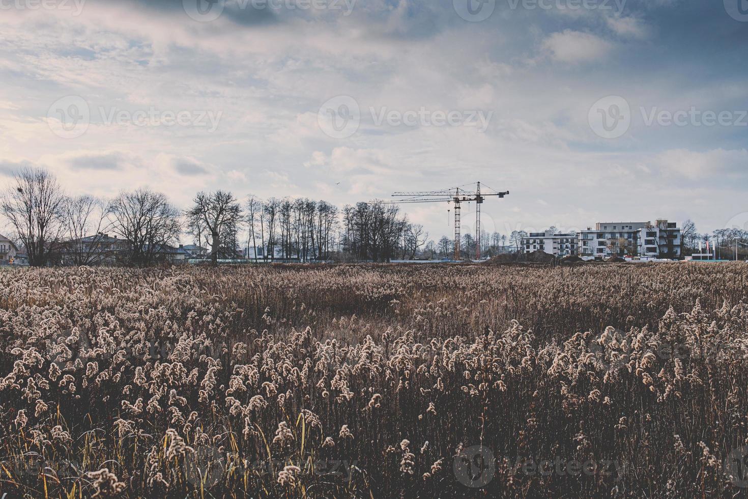 l'automne paysage de Varsovie avec construction grues photo
