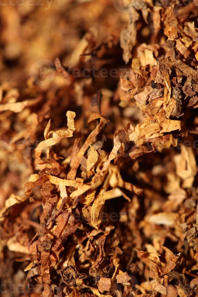 roulant séché le tabac feuilles proche en haut Contexte gros Taille haute qualité Stock Photos fumeur toxicomane soi fabriqué cigarettes et mixte