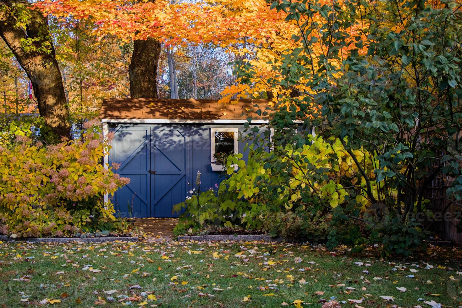 bleu cabanon dans le jardin dans l'automne photo