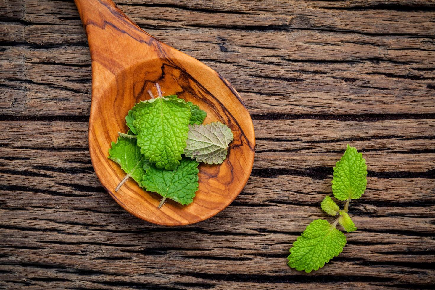 Teinture de mélisse mélisse fraîche laisse dans une cuillère avec mise à plat sur table en bois minable photo