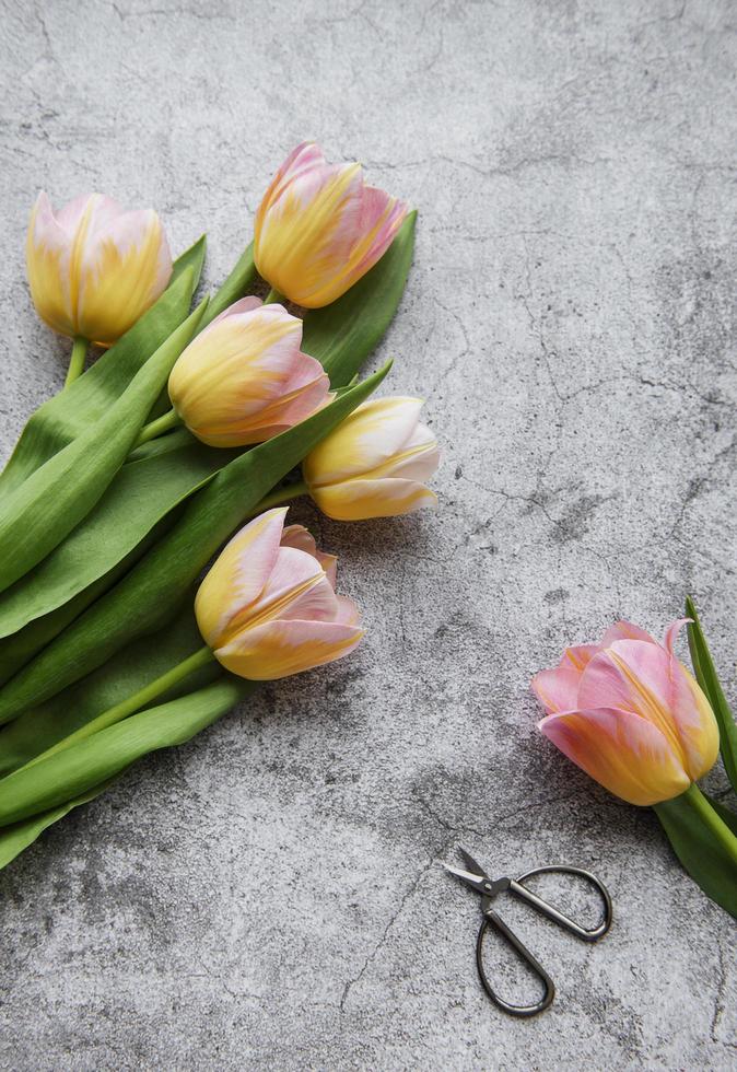 tulipes de printemps sur fond de béton photo