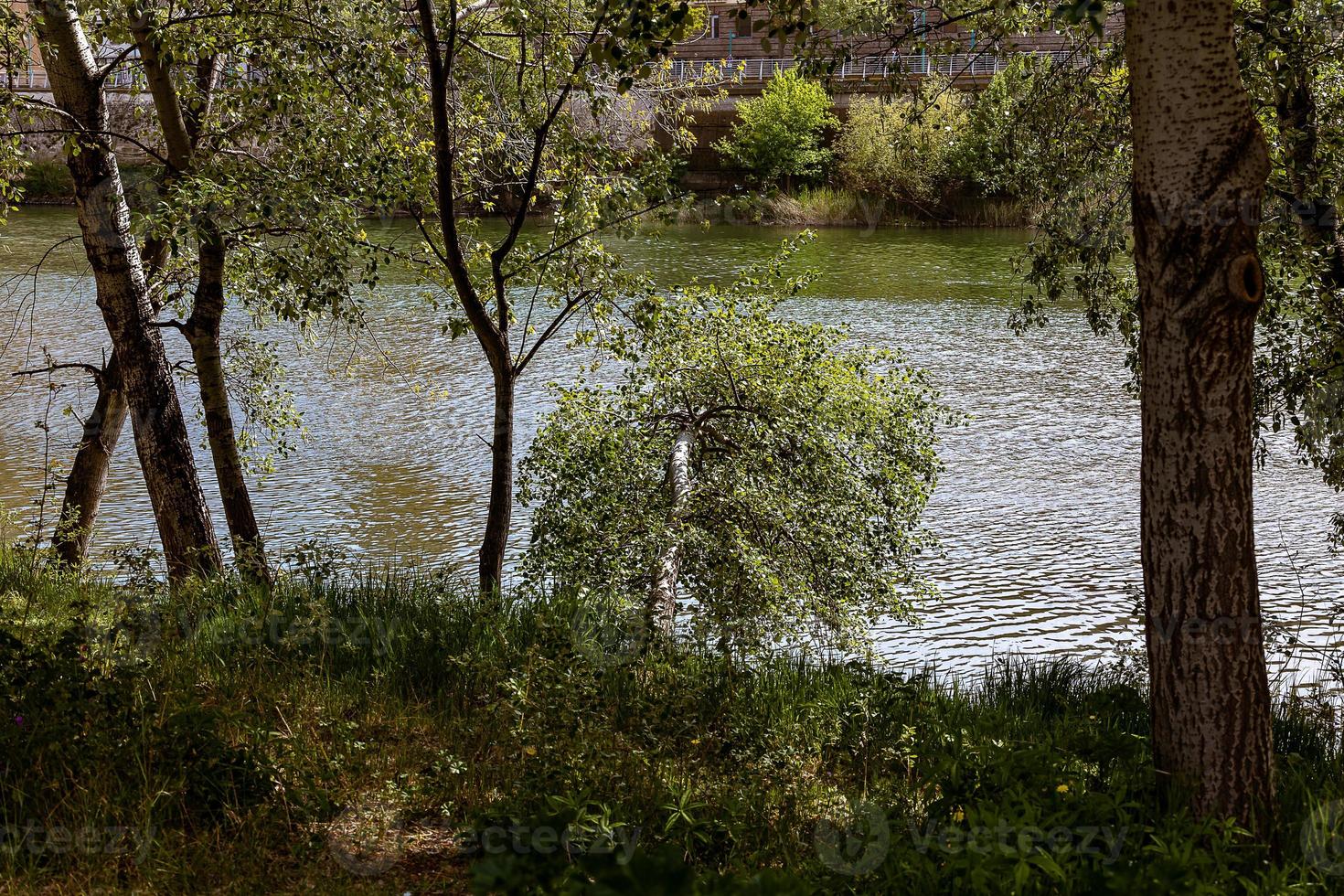 paysage de une rivière écoulement derrière vert printemps des arbres photo