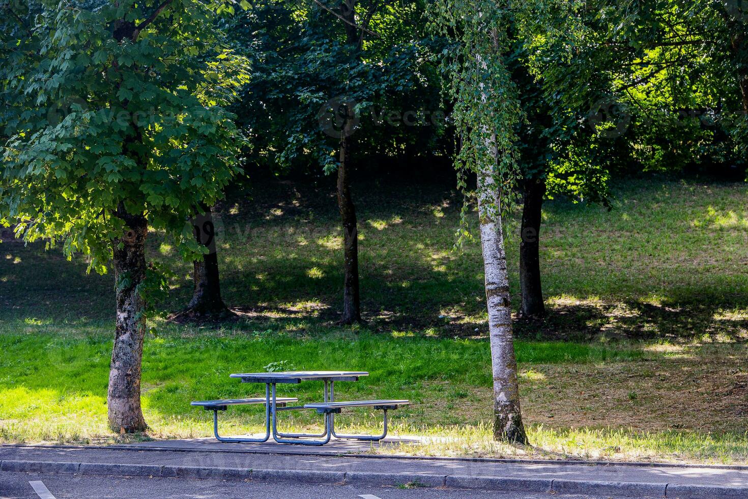 été paysage pique-nique banc parmi le des arbres dans le parc sur une ensoleillé journée photo