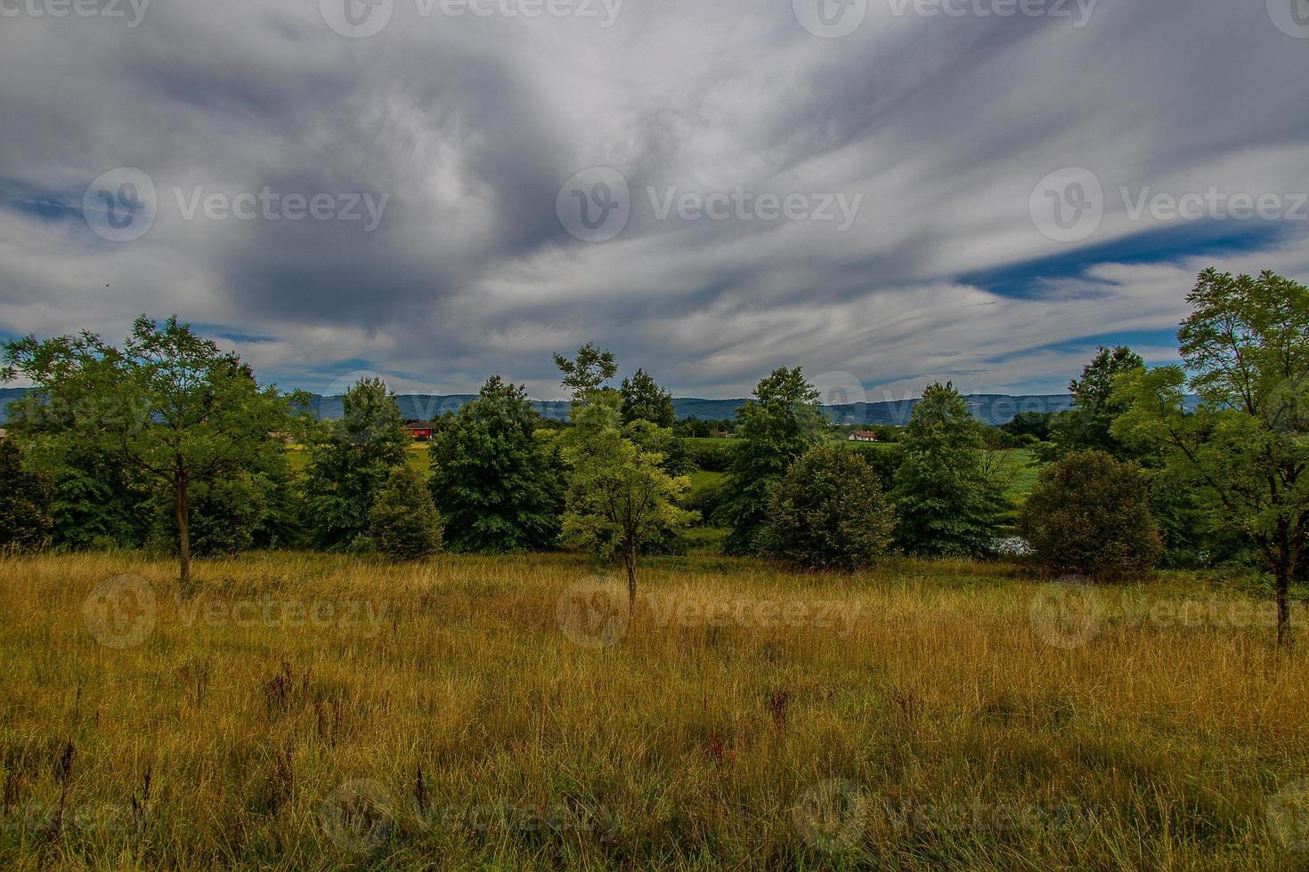 été paysage avec vert des arbres, prairie, des champs et ciel avec blanc des nuages photo