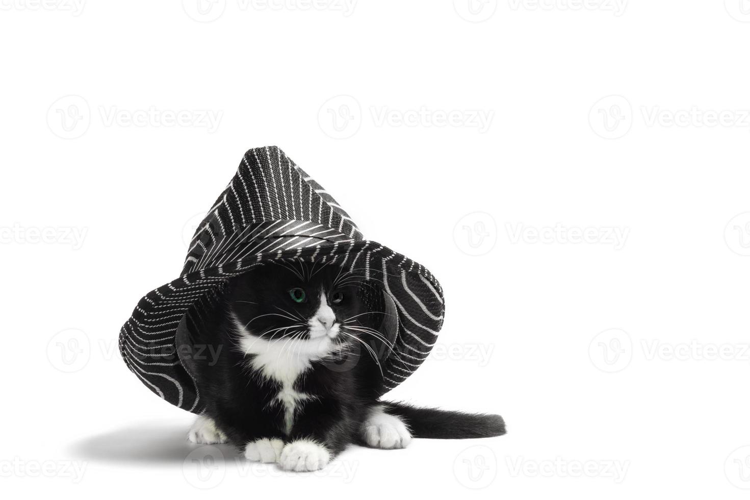 chaton noir et blanc avec chapeau photo