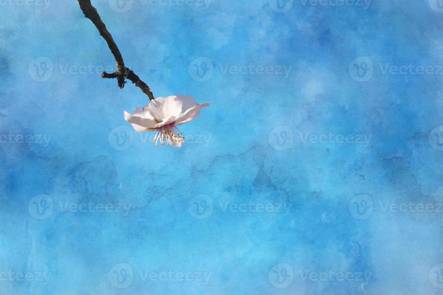 épanouissement fruit arbre avec blanc fleurs sur une ensoleillé printemps journée photo