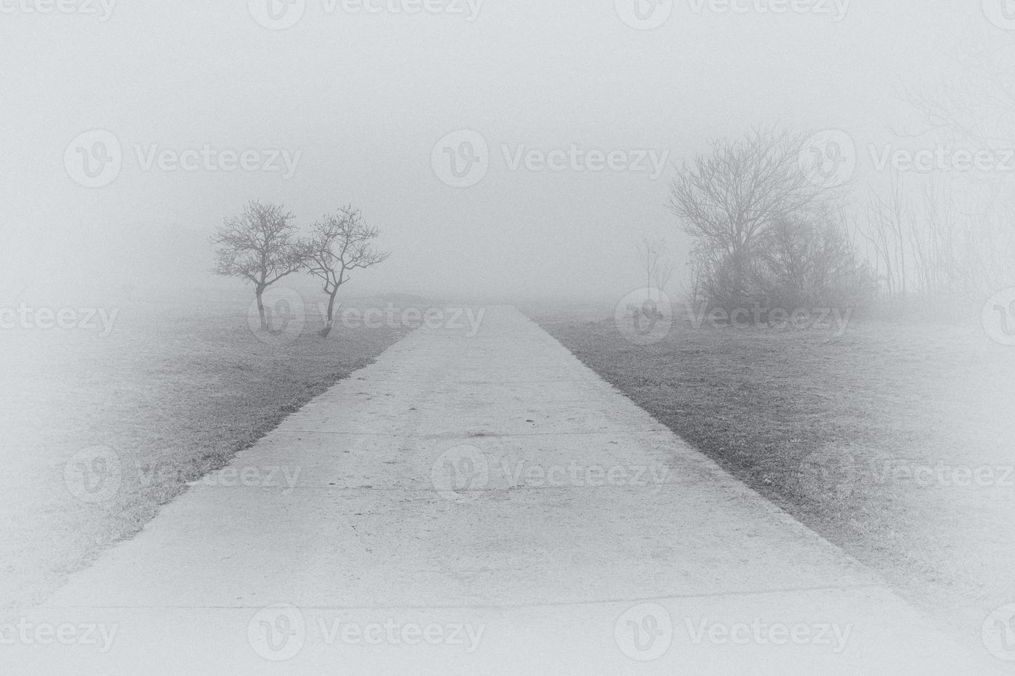 l calme paysage avec route dans brumeux gris hivers journée photo