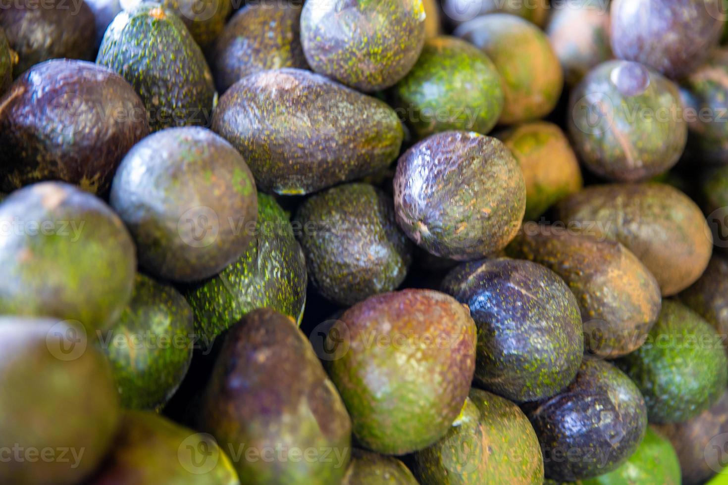 bouquet de avocats photo