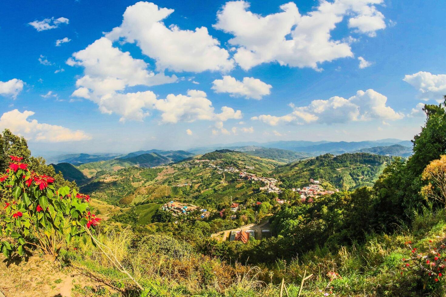 vue aérienne de chiang rai photo