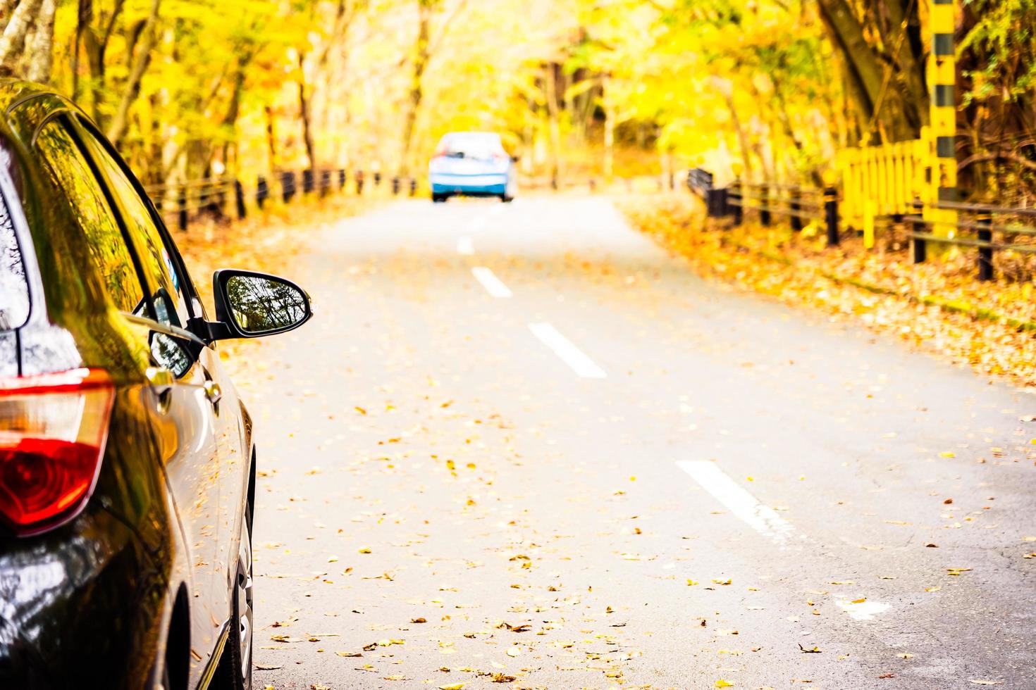 voiture sur la route dans la forêt d'automne photo