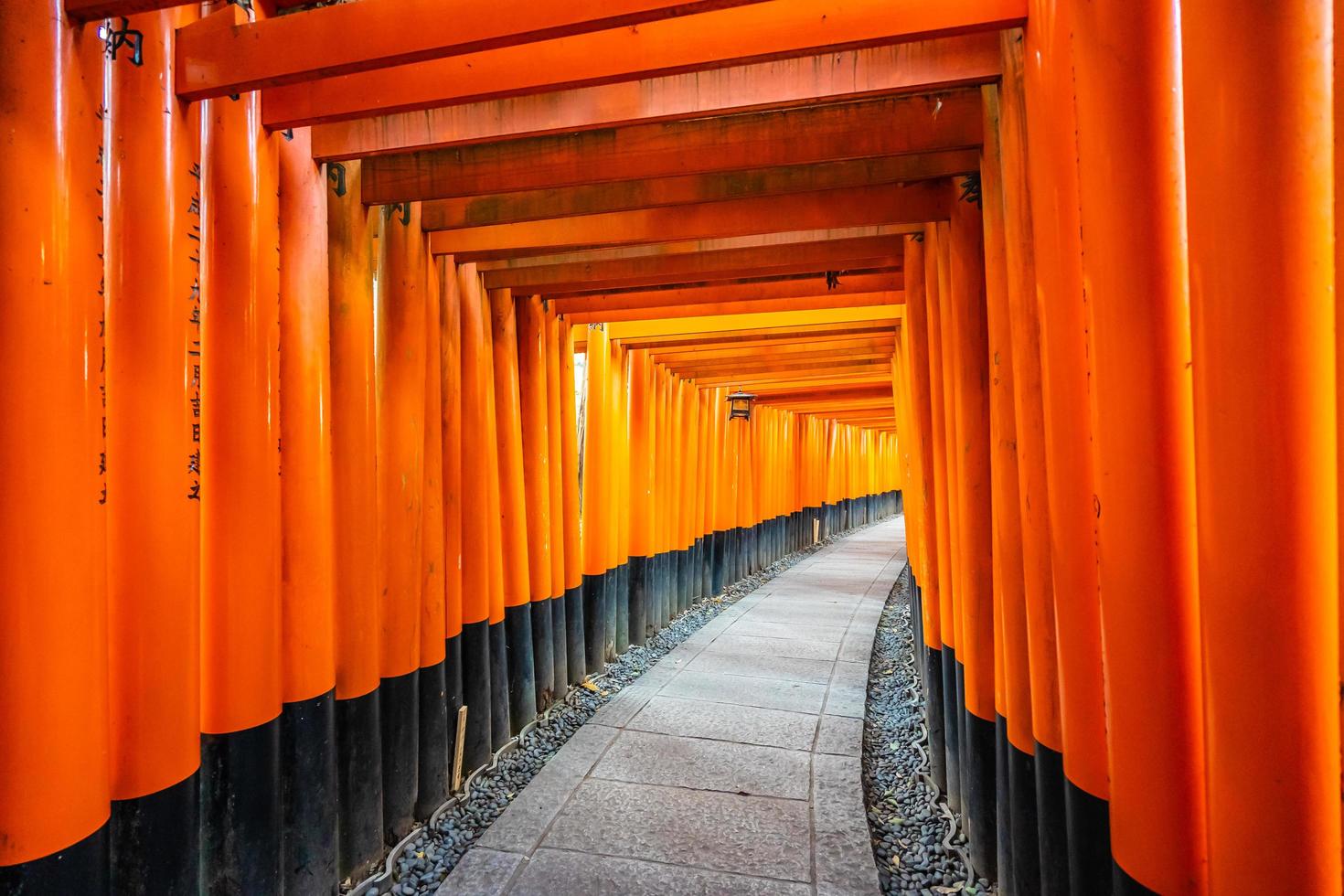 Portes torii au sanctuaire Fushimi Inari à Kyoto, Japon photo