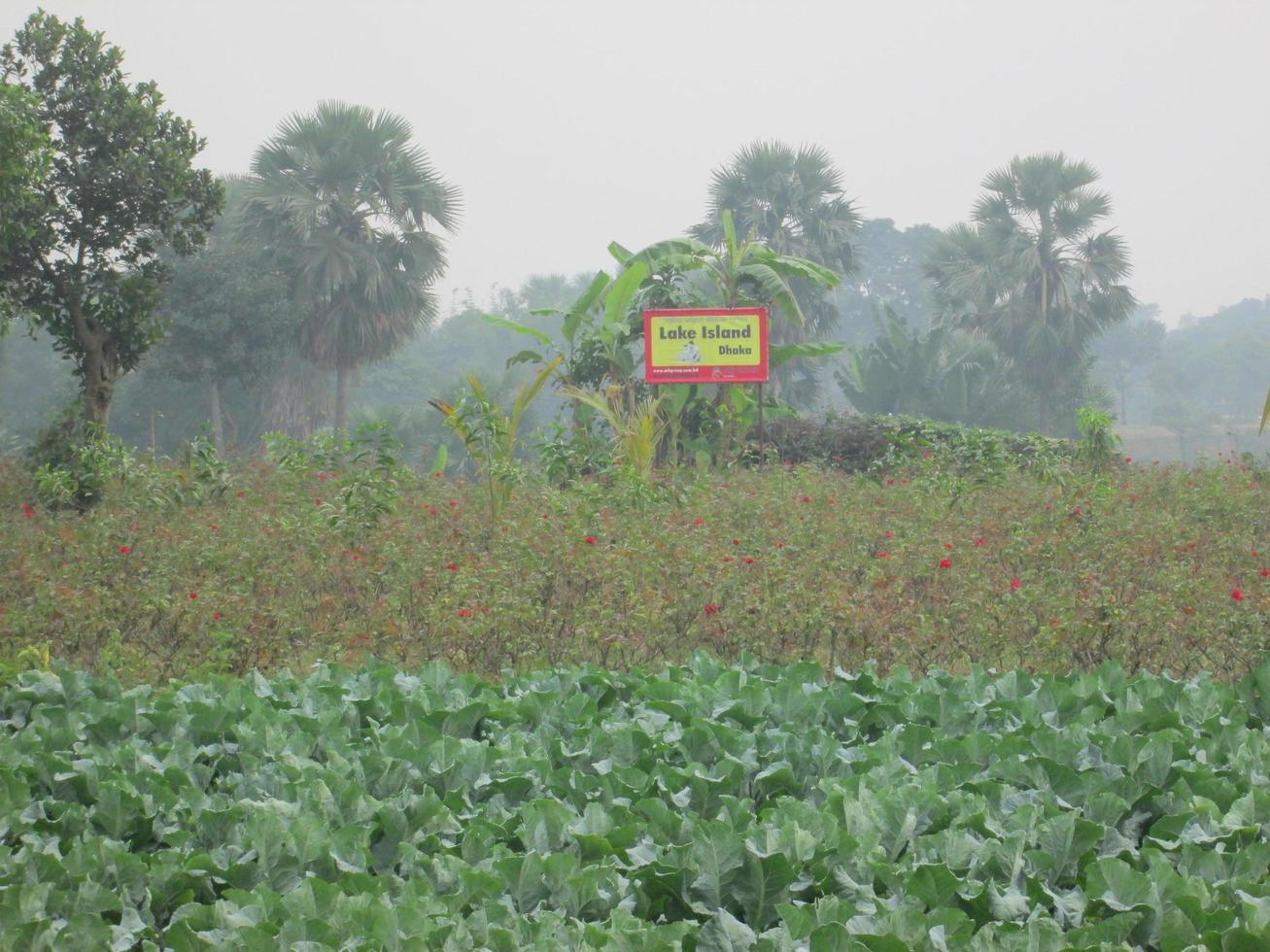 Naturel photo dans bangladesh