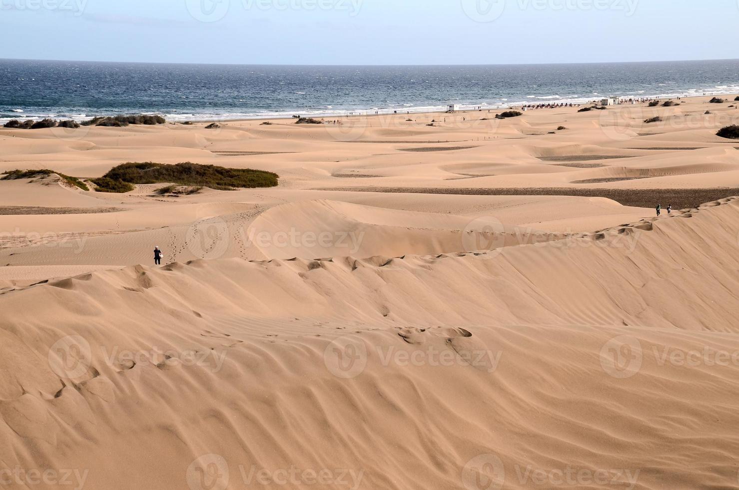 dunes de sable en bord de mer photo