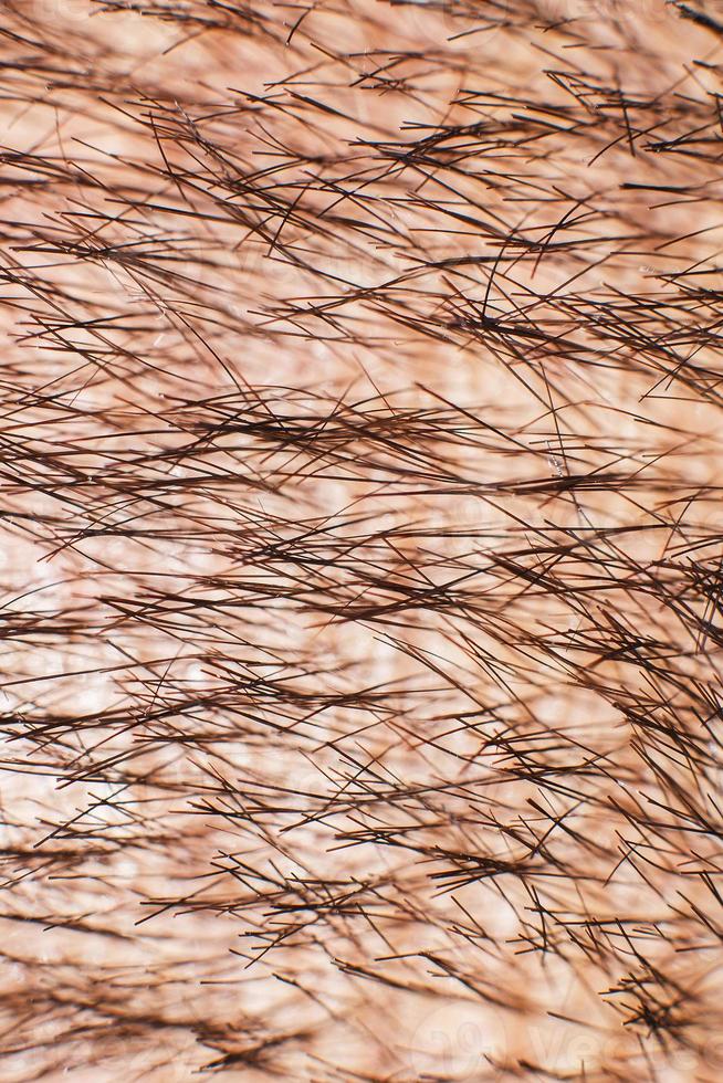 Hommes cheveux fermer. tête cheveux macro. cheveux Contexte photo