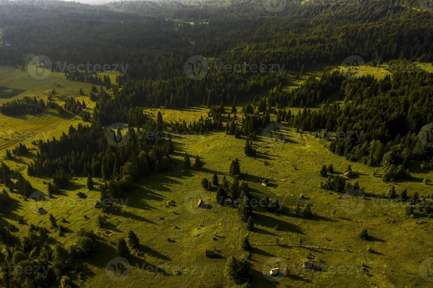 Vue aérienne de la forêt de montagne de tara en Serbie photo