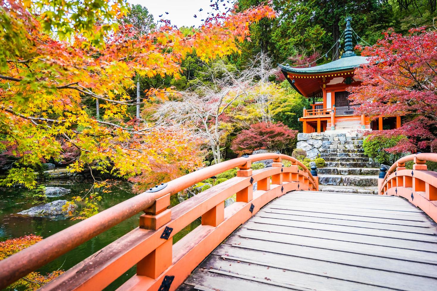 beau temple daigoji avec arbre coloré et feuille en saison d'automne photo