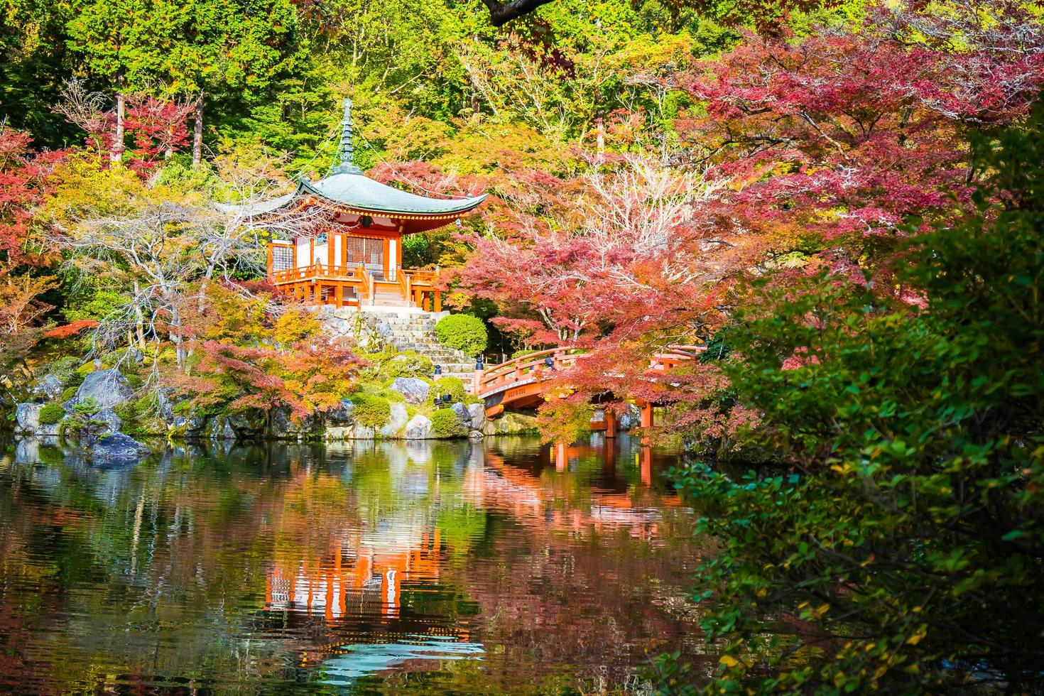 beau temple daigoji avec arbre coloré et feuille en saison d'automne photo