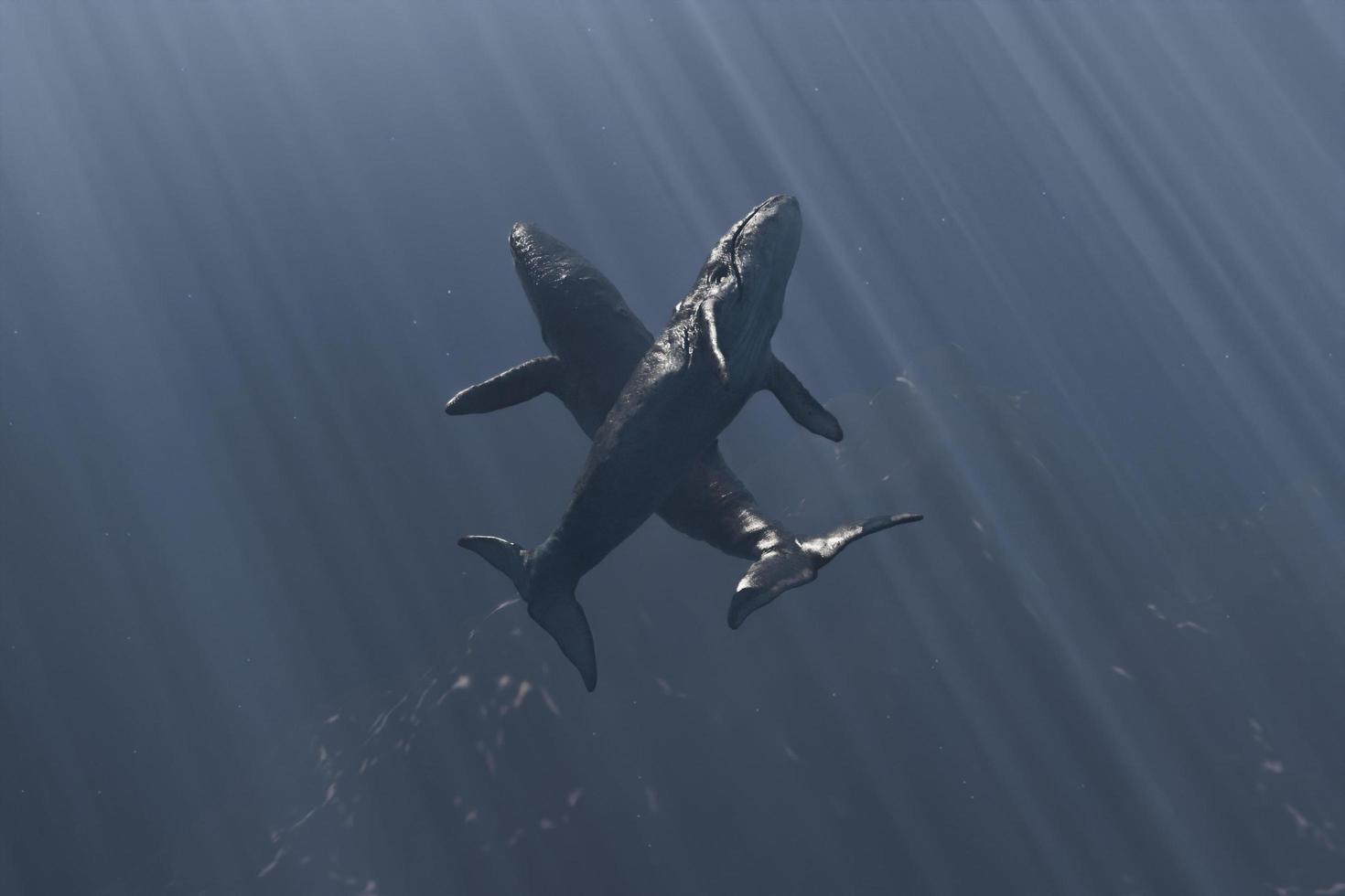 Deux baleines dans la profondeur de l'océan dansant avec les rayons du soleil tombant de la surface, rendu 3d photo