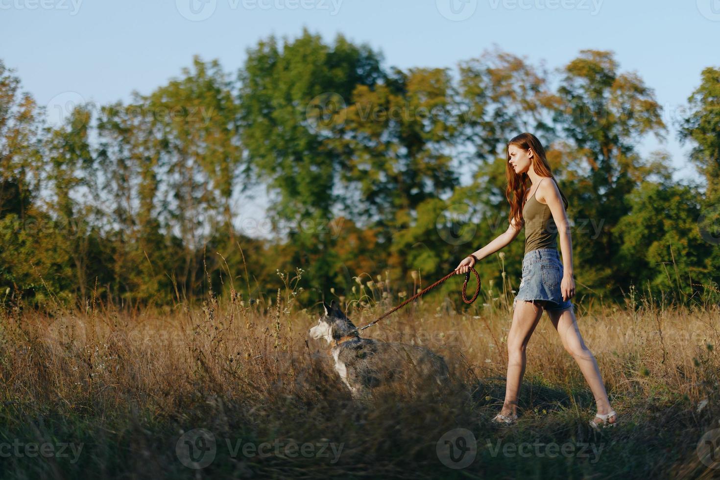 femme et sa rauque chien Heureusement marcher et courir par le herbe dans le champ sourire avec les dents tomber le coucher du soleil marcher avec une animal de compagnie, Voyage avec une ami chien bonheur mode de vie photo