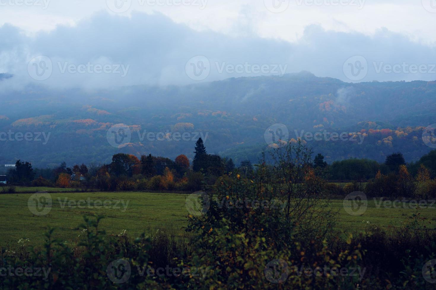 montagnes vert herbe montagnes brouillard Voyage la nature photo