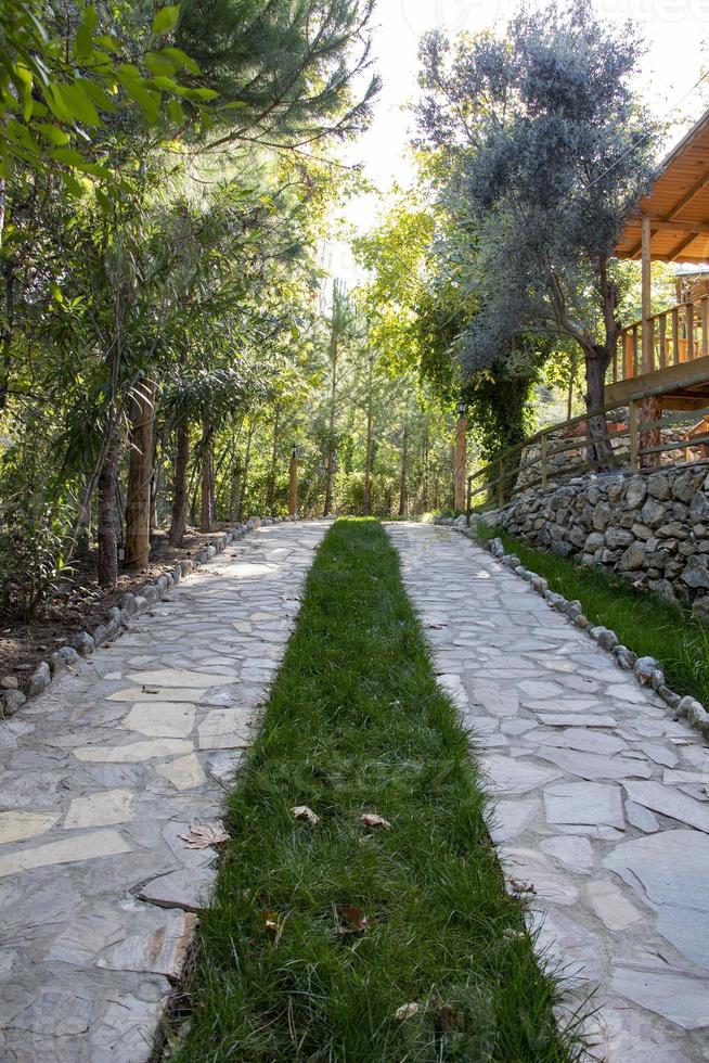 jardin chemin avec vert herbe et des arbres sur une ensoleillé journée. pierre passerelle dans le parc avec des arbres dans le Contexte. pierre passerelle dans le jardin de une pays maison. photo