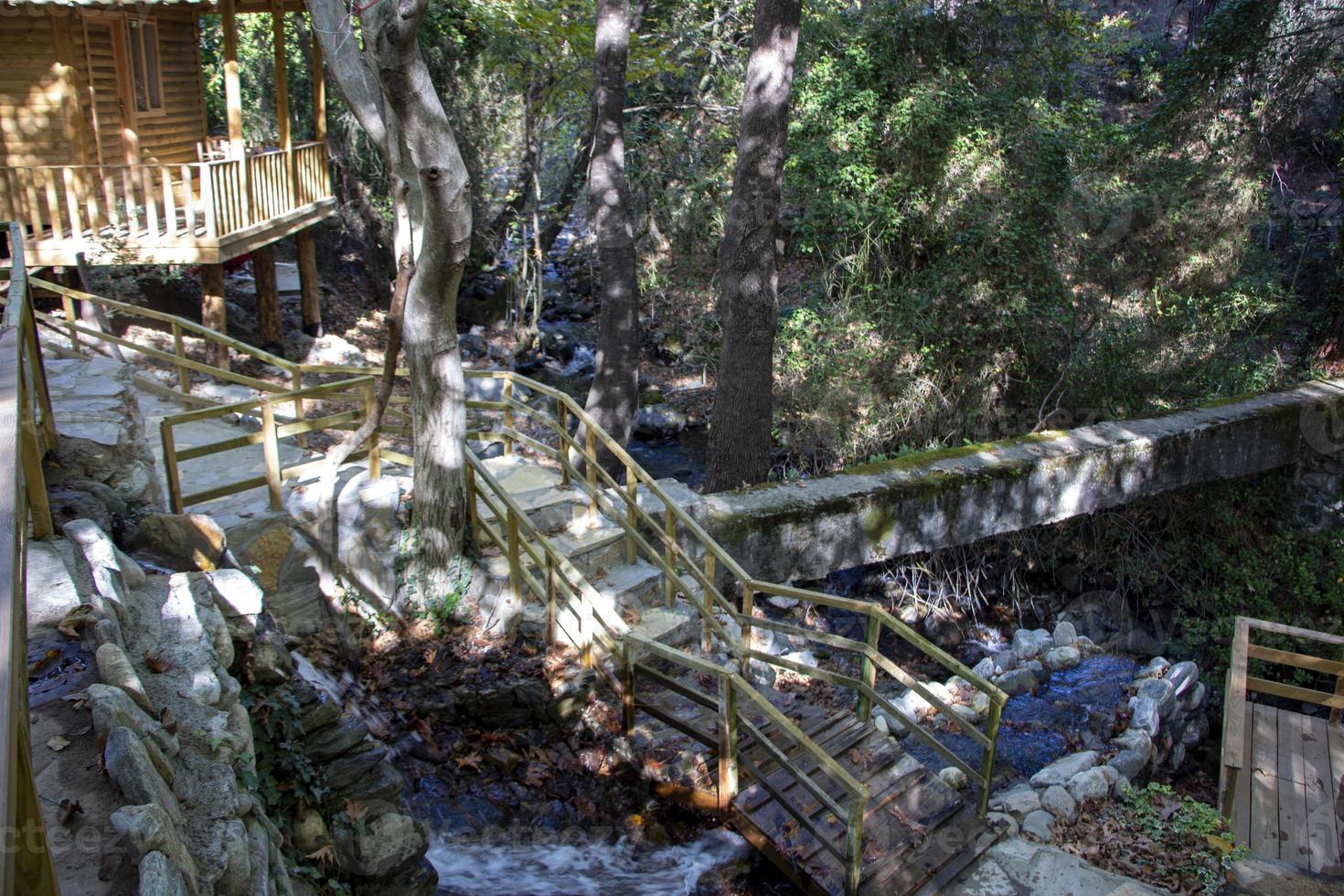 en bois escaliers dans le forêt, paysage comme une Contexte. en bois escaliers à le cascade dans le forêt. photo