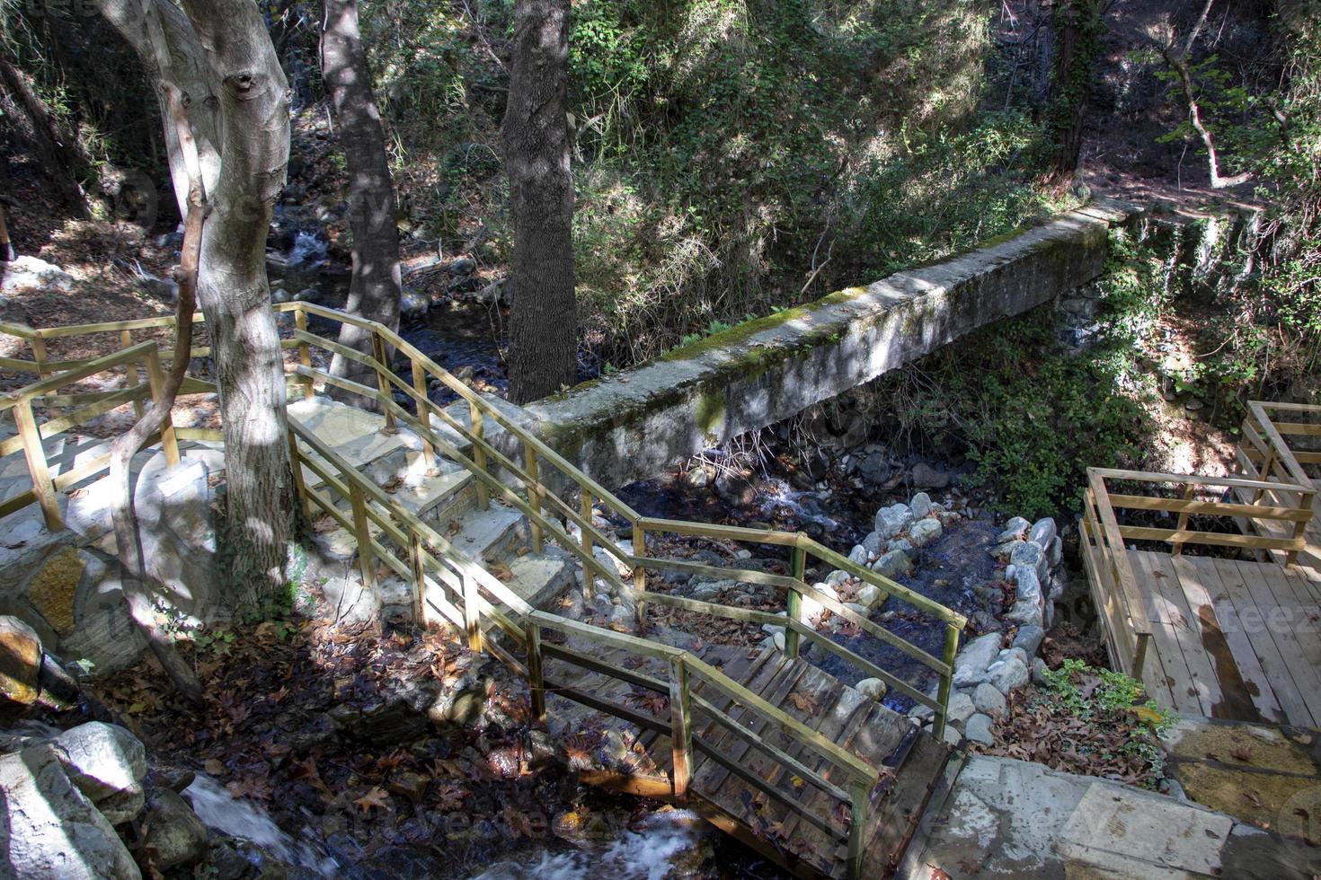 en bois escaliers dans le forêt, paysage comme une Contexte. en bois escaliers à le cascade dans le forêt. photo