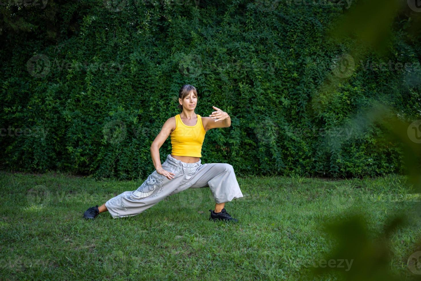 une femme les pratiques tai chi dans une parc. pratiquant en plein air fournit une calme et relaxant environnement pour méditation et concentration. photo