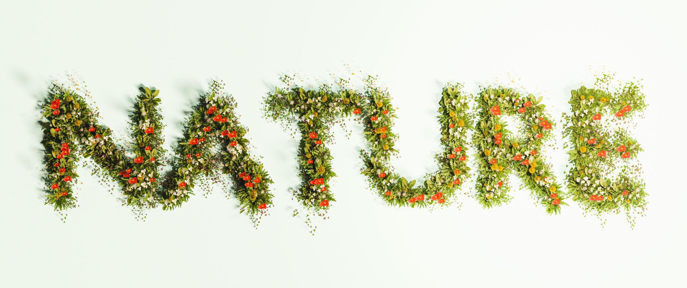 signe de la nature écrit avec des fleurs et de l'herbe, rendu 3d photo