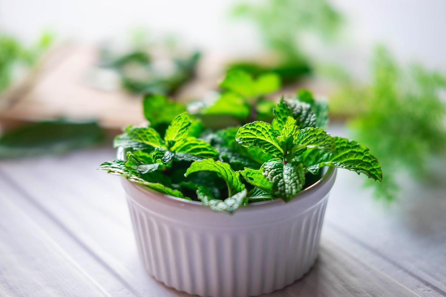 Herbes à la menthe fraîche dans un bol blanc photo